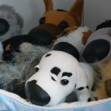 別荘 Haus Freiraum, Am Alten Deich 13b